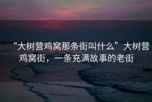 “大樹(shù)營(yíng)雞窩那條街叫什么”大樹(shù)營(yíng)雞窩街，一條充滿(mǎn)故事的老街