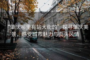 “肇慶哪里有站大街的”探尋肇慶美景，感受城市魅力與街頭風(fēng)情