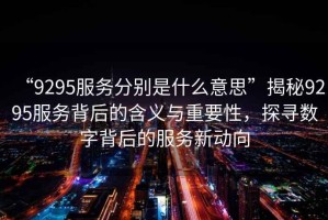 “9295服務(wù)分別是什么意思”揭秘9295服務(wù)背后的含義與重要性，探尋數字背后的服務(wù)新動(dòng)向