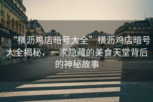 “橫瀝雞店暗號大全”橫瀝雞店暗號大全揭秘，一家隱藏的美食天堂背后的神秘故事