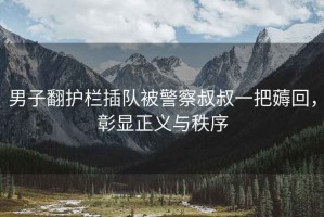 男子翻護欄插隊被警察叔叔一把薅回，彰顯正義與秩序