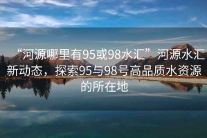 “河源哪里有95或98水匯”河源水匯新動(dòng)態(tài)，探索95與98號高品質(zhì)水資源的所在地