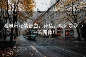 潘展樂(lè )深情告白，孫楊，永遠是我心中的偶像！