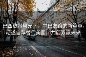 巴西熱帶風(fēng)光下，中巴友誼的新篇章，毛遂自薦替代美國，共創(chuàng  )雙贏(yíng)未來(lái)