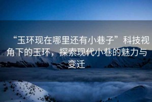 “玉環(huán)現在哪里還有小巷子”科技視角下的玉環(huán)，探索現代小巷的魅力與變遷
