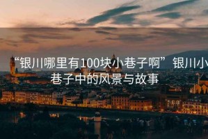 “銀川哪里有100塊小巷子啊”銀川小巷子中的風(fēng)景與故事