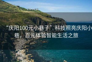 “慶陽(yáng)100元小巷子”科技照亮慶陽(yáng)小巷，百元體驗智能生活之旅