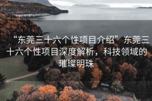 “東莞三十六個(gè)性項目介紹”東莞三十六個(gè)性項目深度解析，科技領(lǐng)域的璀璨明珠