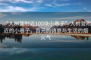 “大樹(shù)營(yíng)附近100塊小巷子”大樹(shù)營(yíng)附近的小巷子，百元的詩(shī)意與生活的煙火氣