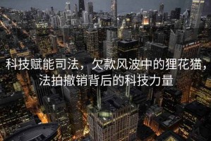 科技賦能司法，欠款風(fēng)波中的貍花貓，法拍撤銷(xiāo)背后的科技力量