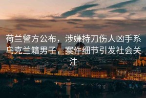 荷蘭警方公布，涉嫌持刀傷人兇手系烏克蘭籍男子，案件細節引發(fā)社會(huì )關(guān)注