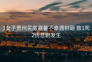 3女子貴州買(mǎi)房避暑不幸遇樹(shù)砸 致1死2傷悲劇發(fā)生