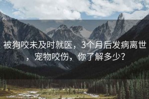 被狗咬未及時(shí)就醫，3個(gè)月后發(fā)病離世，寵物咬傷，你了解多少？