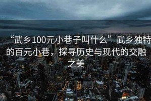 “武鄉100元小巷子叫什么”武鄉獨特的百元小巷，探尋歷史與現代的交融之美