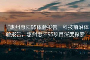 “惠州惠陽(yáng)95體驗報告”科技前沿體驗報告，惠州惠陽(yáng)95項目深度探索