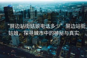 “屏邊站街姑娘電話(huà)多少”屏邊站街姑娘，探尋城市中的神秘與真實(shí)