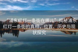 “浦東紅燈一條街在哪兒”揭秘浦東紅燈一條街的真相，位置、歷史與現狀探究