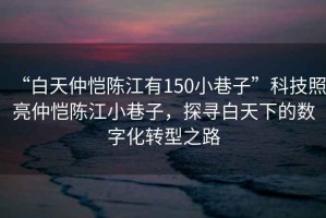“白天仲愷陳江有150小巷子”科技照亮仲愷陳江小巷子，探尋白天下的數字化轉型之路