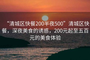 “清城區快餐200半夜500”清城區快餐，深夜美食的誘惑，200元起至五百元的美食體驗