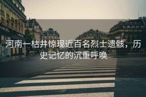 河南一枯井驚現近百名烈士遺骸，歷史記憶的沉重呼喚