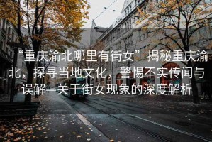 “重慶渝北哪里有街女”揭秘重慶渝北，探尋當地文化，警惕不實(shí)傳聞與誤解—關(guān)于街女現象的深度解析
