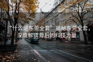 “什么是東莞全套”揭秘東莞全套，深度解讀背后的科技力量