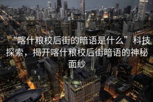 “喀什糧校后街的暗語(yǔ)是什么”科技探索，揭開(kāi)喀什糧校后街暗語(yǔ)的神秘面紗