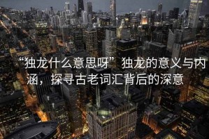 “獨龍什么意思呀”獨龍的意義與內涵，探尋古老詞匯背后的深意