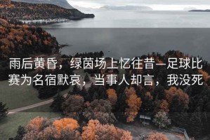 雨后黃昏，綠茵場(chǎng)上憶往昔—足球比賽為名宿默哀，當事人卻言，我沒(méi)死
