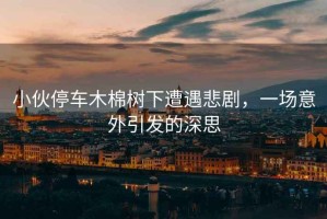 小伙停車(chē)木棉樹(shù)下遭遇悲劇，一場(chǎng)意外引發(fā)的深思