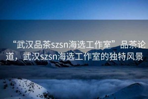“武漢品茶szsn海選工作室”品茶論道，武漢szsn海選工作室的獨特風(fēng)景