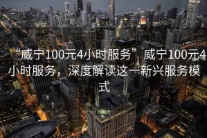 “威寧100元4小時(shí)服務(wù)”威寧100元4小時(shí)服務(wù)，深度解讀這一新興服務(wù)模式