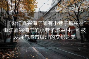 “浙江嘉興海寧哪有小巷子城中村”浙江嘉興海寧的小巷子城中村，科技發(fā)展與城市紋理的交織之美