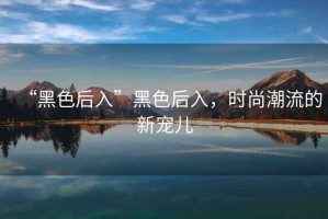 “黑色后入”黑色后入，時(shí)尚潮流的新寵兒