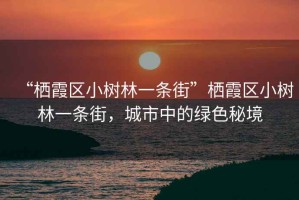“棲霞區小樹(shù)林一條街”棲霞區小樹(shù)林一條街，城市中的綠色秘境