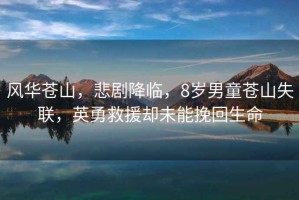 風(fēng)華蒼山，悲劇降臨，8歲男童蒼山失聯(lián)，英勇救援卻未能挽回生命