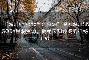 “深圳sngodx黑洞資源”探索深圳SNGODX黑洞資源，揭秘未知領(lǐng)域的神秘面紗