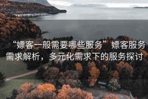 “嫖客一般需要哪些服務(wù)”嫖客服務(wù)需求解析，多元化需求下的服務(wù)探討
