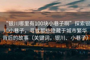 “銀川哪里有100塊小巷子啊”探索銀川小巷子，尋找那些隱藏于城市繁華背后的故事（關(guān)鍵詞，銀川、小巷子）