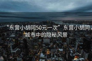 “東營(yíng)小胡同50元一次”東營(yíng)小胡同，城市中的隱秘風(fēng)景