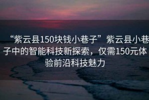 “紫云縣150塊錢(qián)小巷子”紫云縣小巷子中的智能科技新探索，僅需150元體驗前沿科技魅力