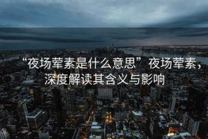 “夜場(chǎng)葷素是什么意思”夜場(chǎng)葷素，深度解讀其含義與影響