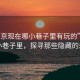 “南京現在哪小巷子里有玩的”南京的小巷子里，探尋那些隱藏的樂(lè )趣