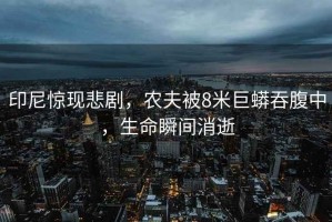 印尼驚現悲劇，農夫被8米巨蟒吞腹中，生命瞬間消逝