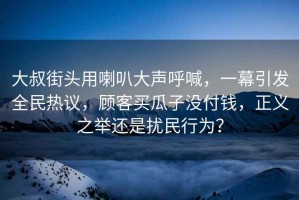 大叔街頭用喇叭大聲呼喊，一幕引發(fā)全民熱議，顧客買(mǎi)瓜子沒(méi)付錢(qián)，正義之舉還是擾民行為？