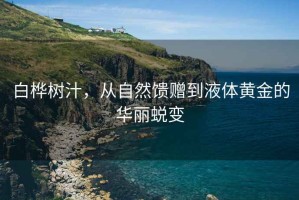 白樺樹(shù)汁，從自然饋贈到液體黃金的華麗蛻變