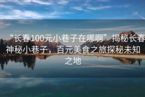 “長(cháng)春100元小巷子在哪啊”揭秘長(cháng)春神秘小巷子，百元美食之旅探秘未知之地