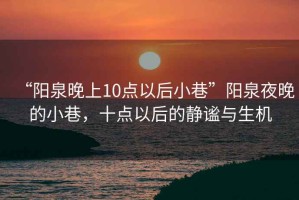 “陽(yáng)泉晚上10點(diǎn)以后小巷”陽(yáng)泉夜晚的小巷，十點(diǎn)以后的靜謐與生機