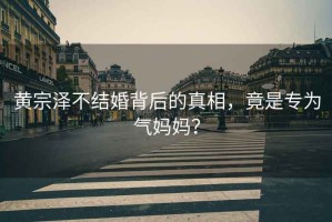 黃宗澤不結婚背后的真相，竟是專(zhuān)為氣媽媽?zhuān)? title=