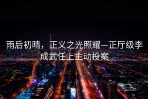 雨后初晴，正義之光照耀—正廳級李成武任上主動(dòng)投案